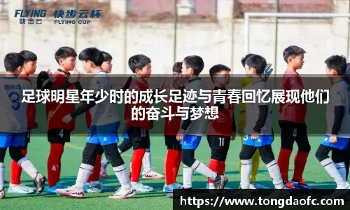 西雅图水手队签下老将雷夫斯奈德，旨在增强对阵左投时的代打厚度